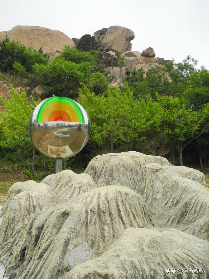 青岛二中2019高考成绩,经验分享大学专业