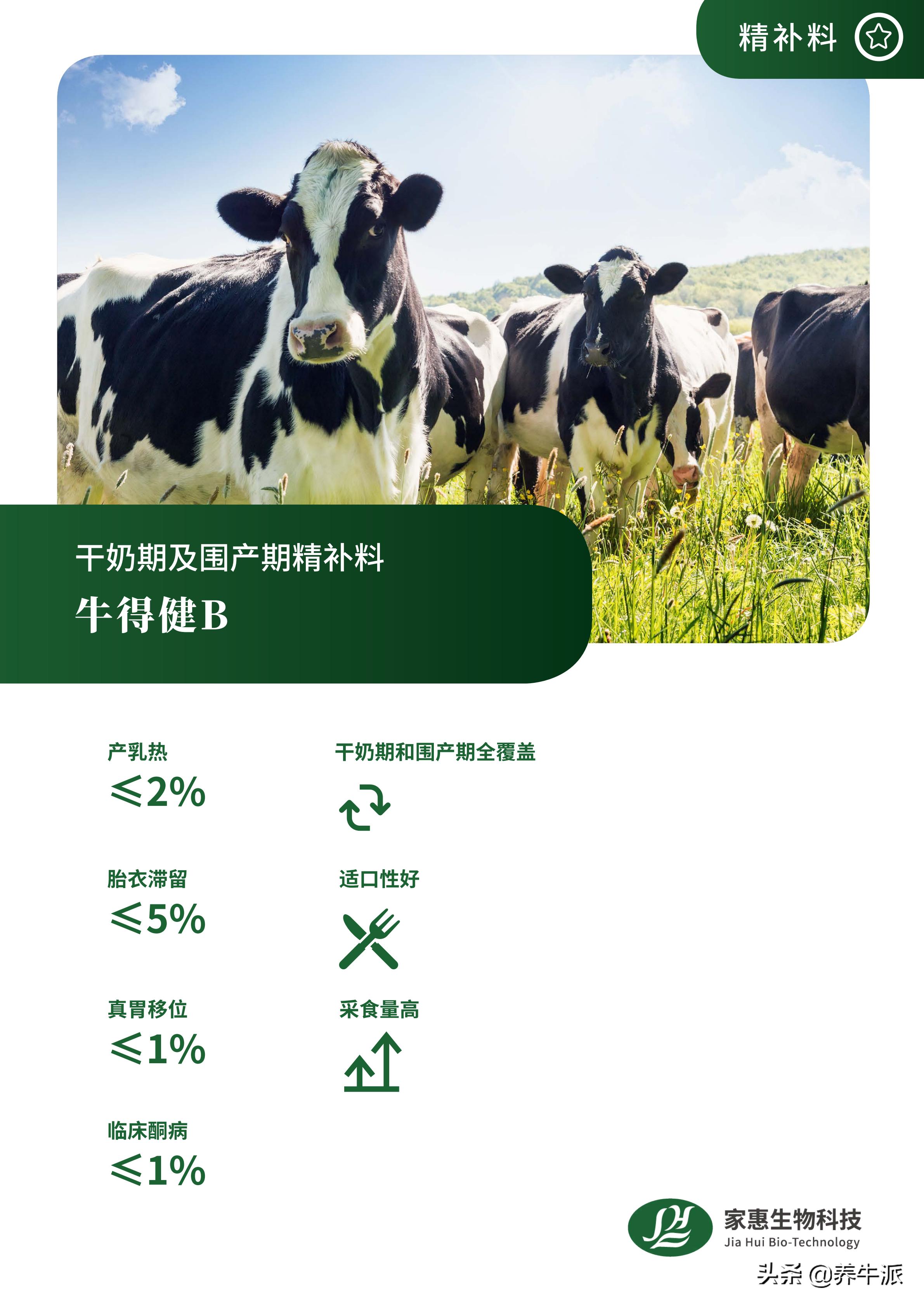 奶牛生产瘫痪的原因,奶牛产后瘫痪的机理