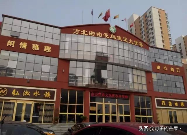 2022石家庄年货市场有几家 (带你走进石家庄批发市场)