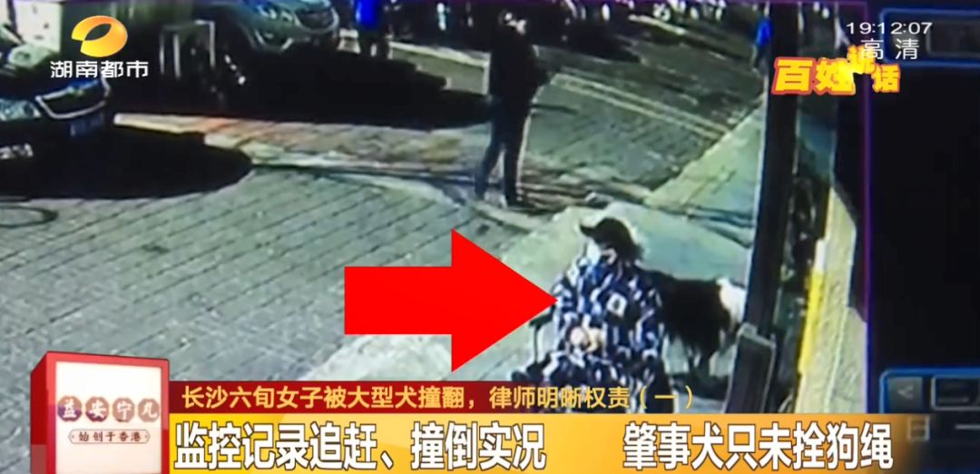 湖南长沙狗不拴绳撞到路人,长沙女子遛狗不牵绳被金毛咬后续