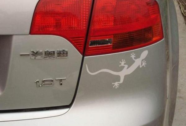 车后面贴的壁虎会掉吗,车后粘壁虎有什么说法