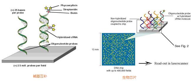 前沿生物医疗创新趋势,中国生物芯片关键技术突破