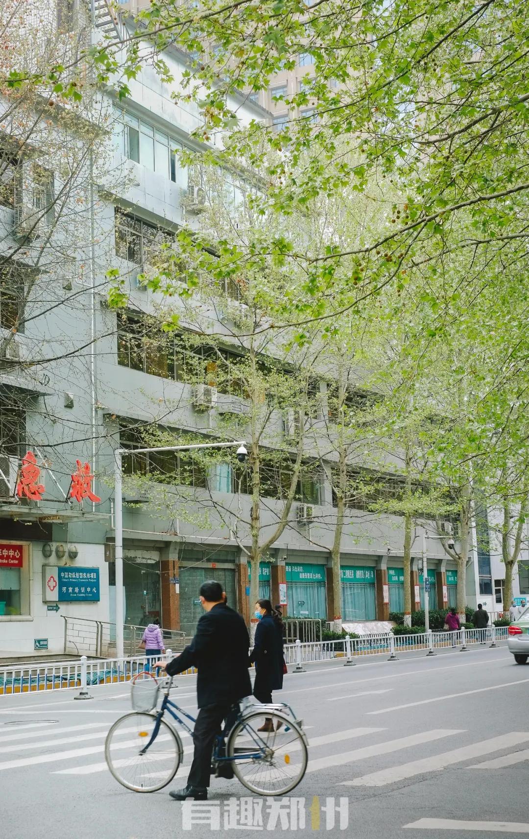 纬一路：在遮天的法桐里想起龙门书店的往事，以及家属院时光……