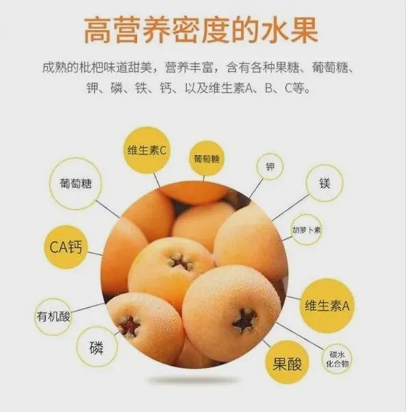 城厢区常太镇首届“壶兰耕读·云上枇杷文化节”暨第22届枇杷节来啦！快来“嗨枇”吧~