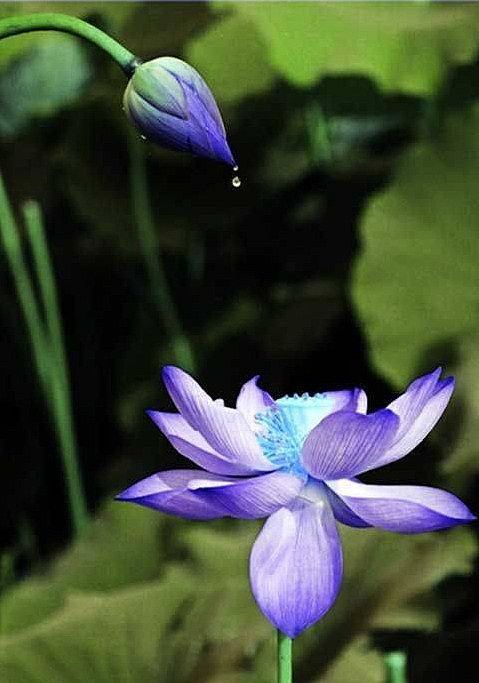 八字日柱强弱最简单判断方法,八字命理强弱判定法