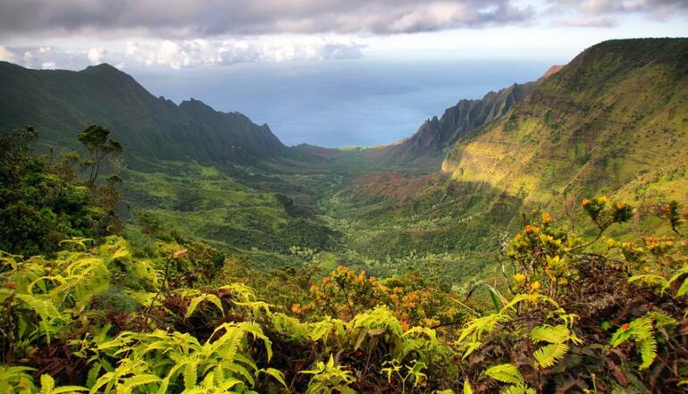 侏罗纪和白垩纪怎么灭绝的,为什么恐龙时代有白垩纪和侏罗纪