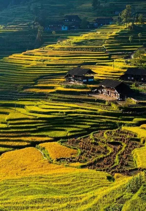 江西客家有哪些地方,江西有哪些地方是客家