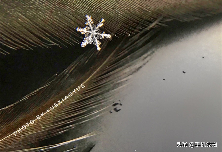 拍摄20倍雪花微距的教程,下雪天怎么拍出唯美视频