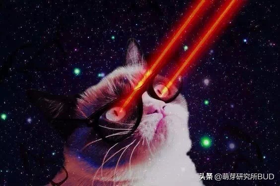 当妈最讨厌听的十句话,当妈的5个忠告