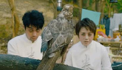 两个月婴儿睡眠多少时间为正常,21个方法找回婴儿般的好睡眠