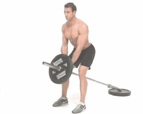 划船可以加强腰背肌么,做t杠划船腰疼怎么办