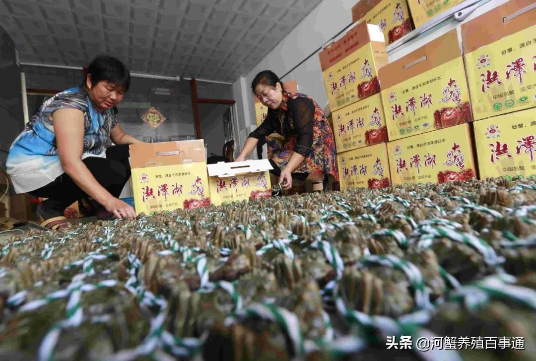 养河蟹致富的地方,河蟹养殖全国第一