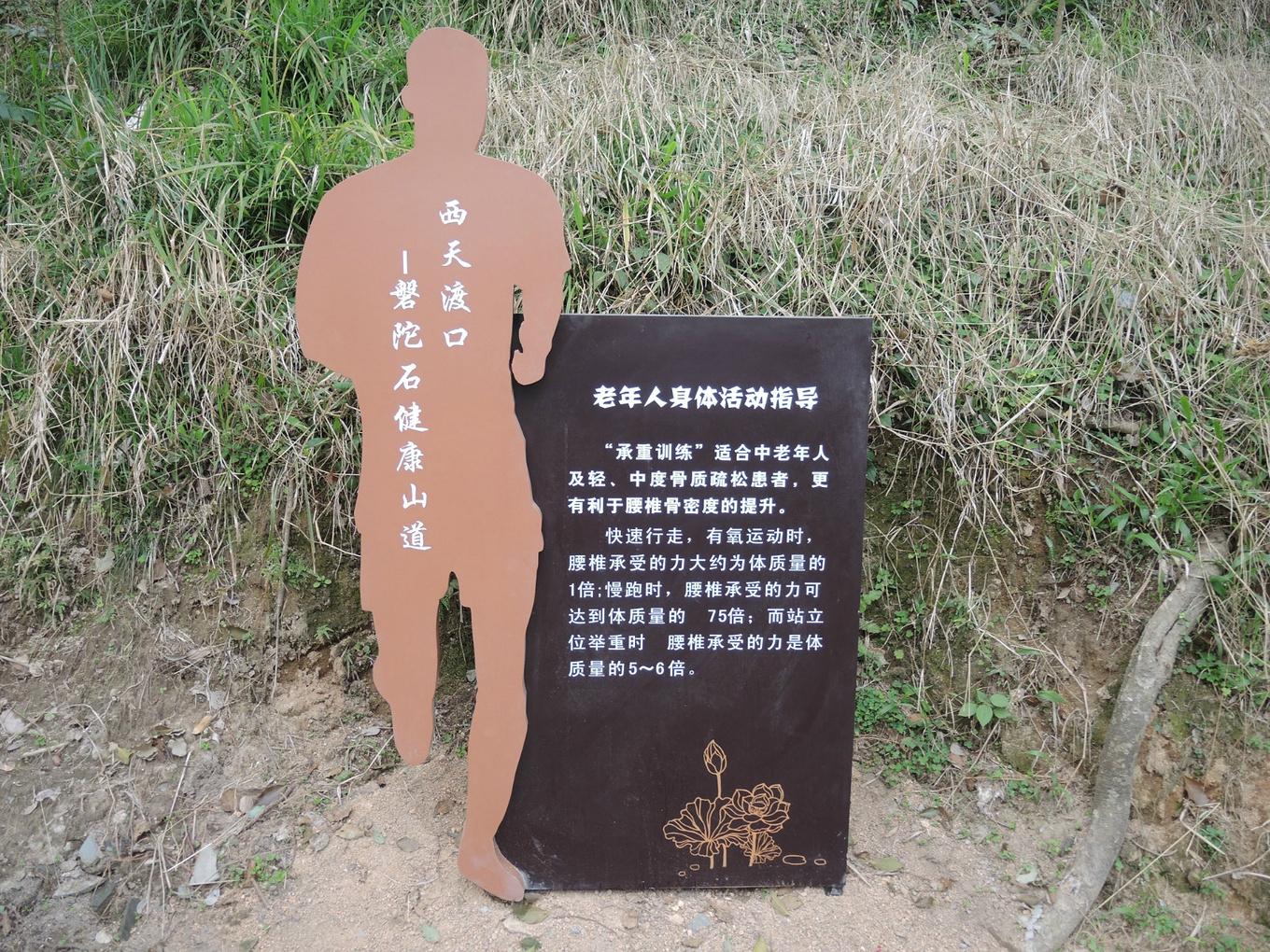 自助旅行普陀山,普陀山旅行