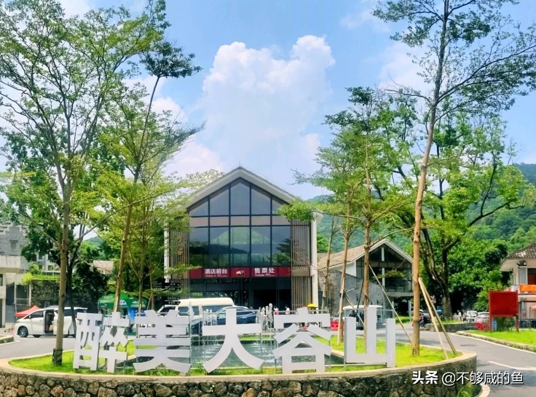 广西高峰森林公园星空露营,广西大容山森林公园露营