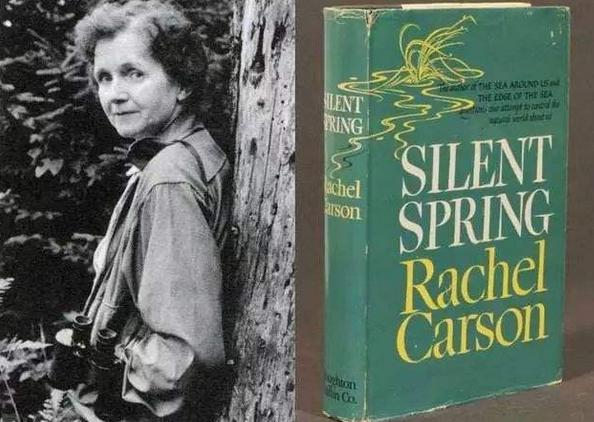 寂静的春天书评,寂静的春天读后感老师评语