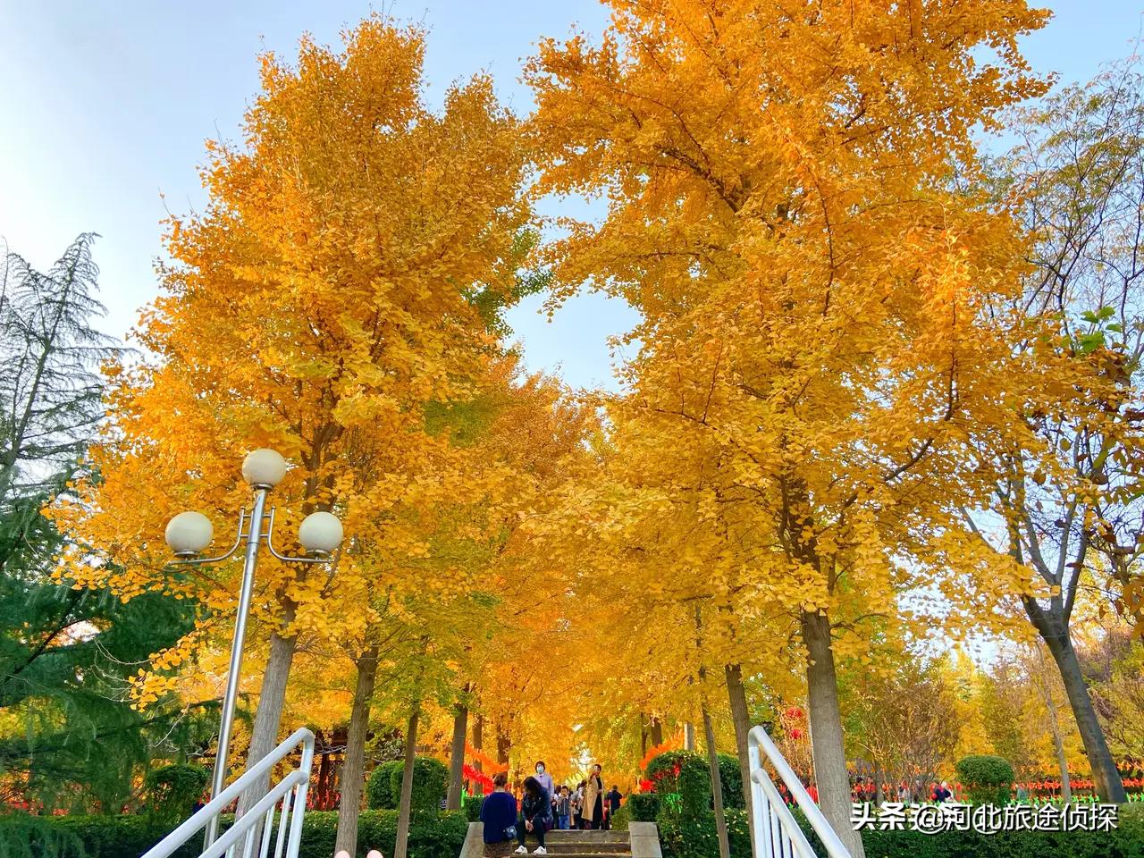 石家庄海山公园,石家庄鹿泉海山岭森林公园