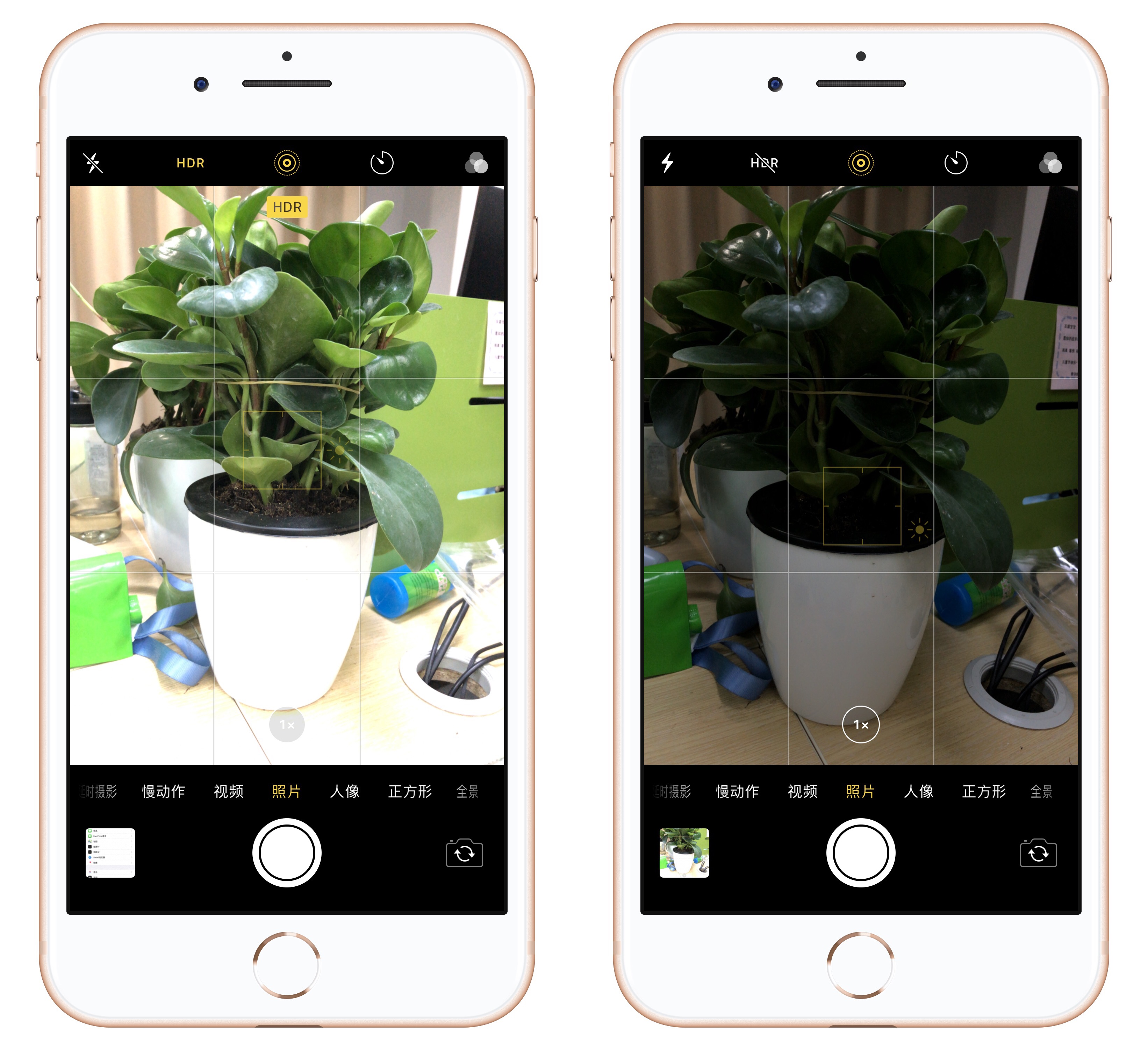苹果手机怎么拍照最清晰最好看,iphone如何让相机拍照更清晰