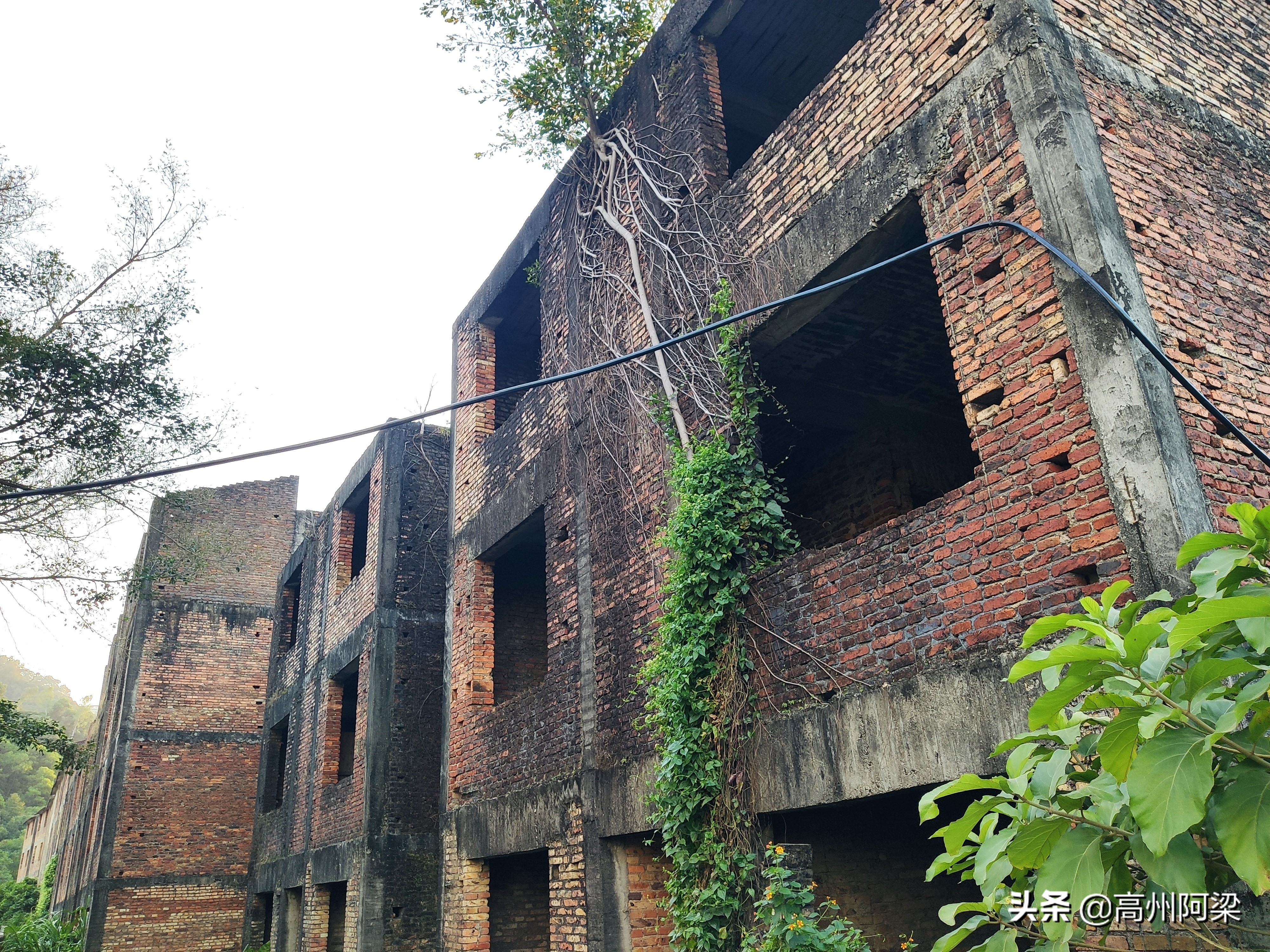 深圳半山腰富人区别墅,深圳闹市区烂尾别墅5万一楼