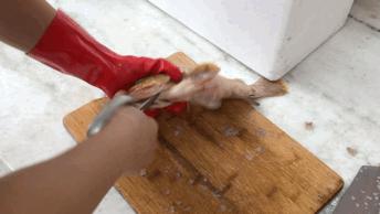 鳌鱼清蒸,鳌鱼清蒸做法窍门