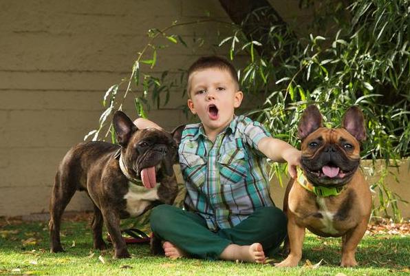 法牛为什么那么会放屁,法牛放屁严重么