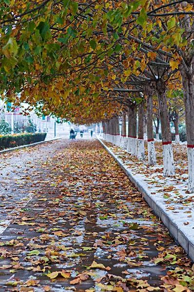 我所经历的取暖四个变迁