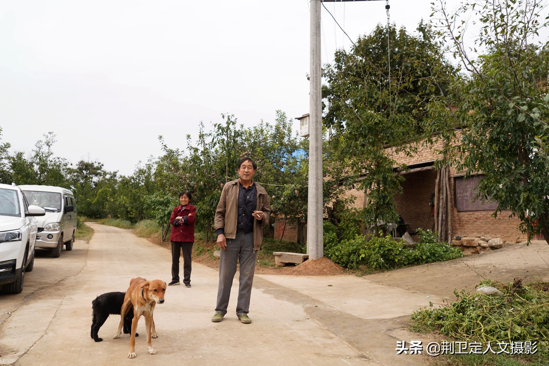 橘子树四五年了没结果,好几年的橘子树怎么不结果