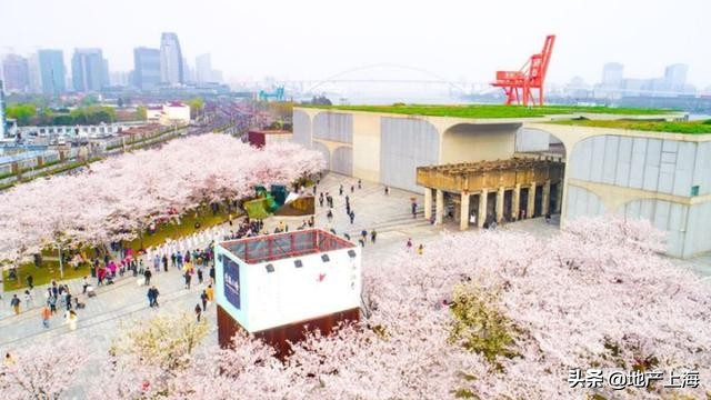 徐汇还有哪些工地开发,滨江开发区工地