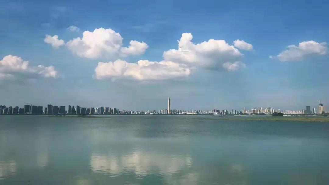 小李阿姨视频,小李阿姨生活视频