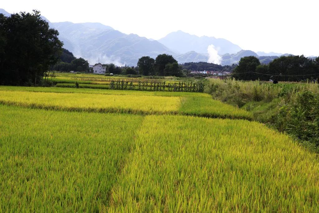 汉中龙池湖攻略,汉中龙池湖简介