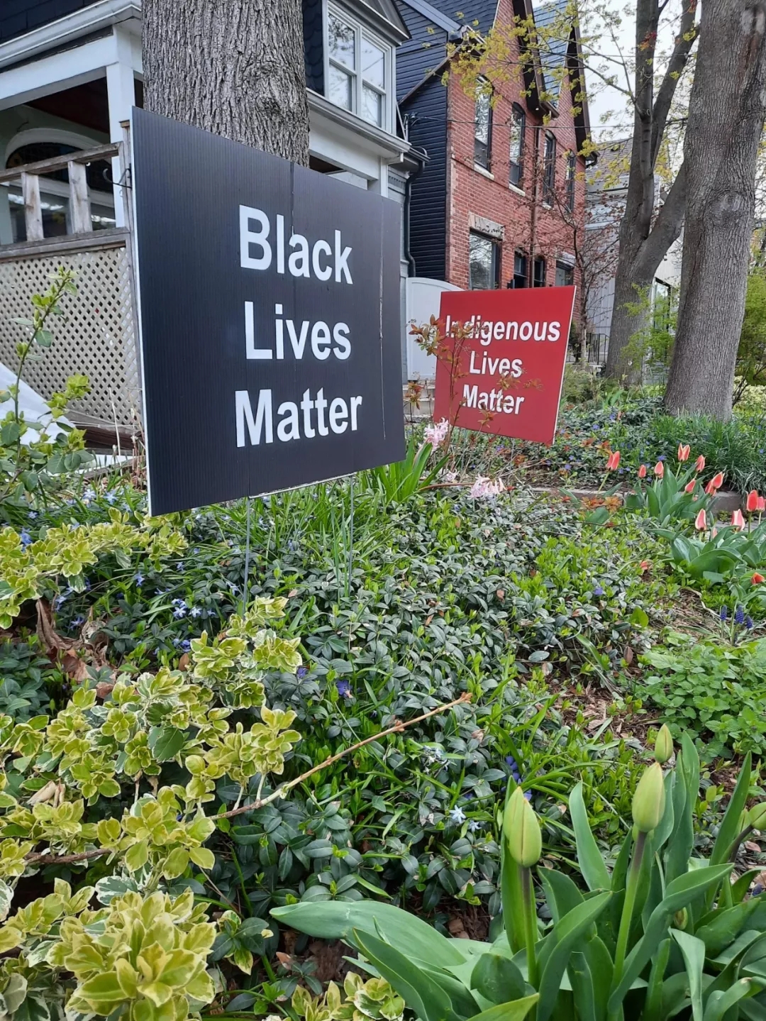 奇葩住宅加拿大,奇葩加拿大