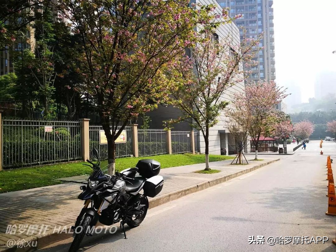 宝马g310r和g310gs的区别,宝马g310rr跟宝马g310gs的区别