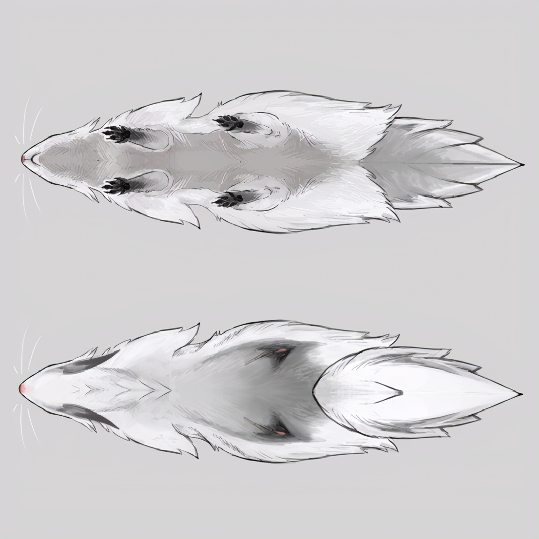 马车9发售时间,马车9出了吗