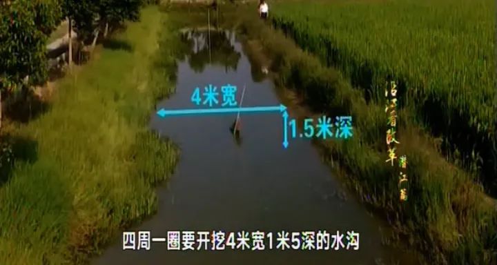 油城乡村风情,油城乡间风情