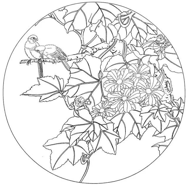 工笔花鸟白描步骤图,牡丹六尺横幅白描工笔花鸟底稿