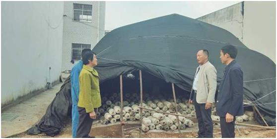 蘑菇撑开致富伞图片,食用菌撑开群众致富伞