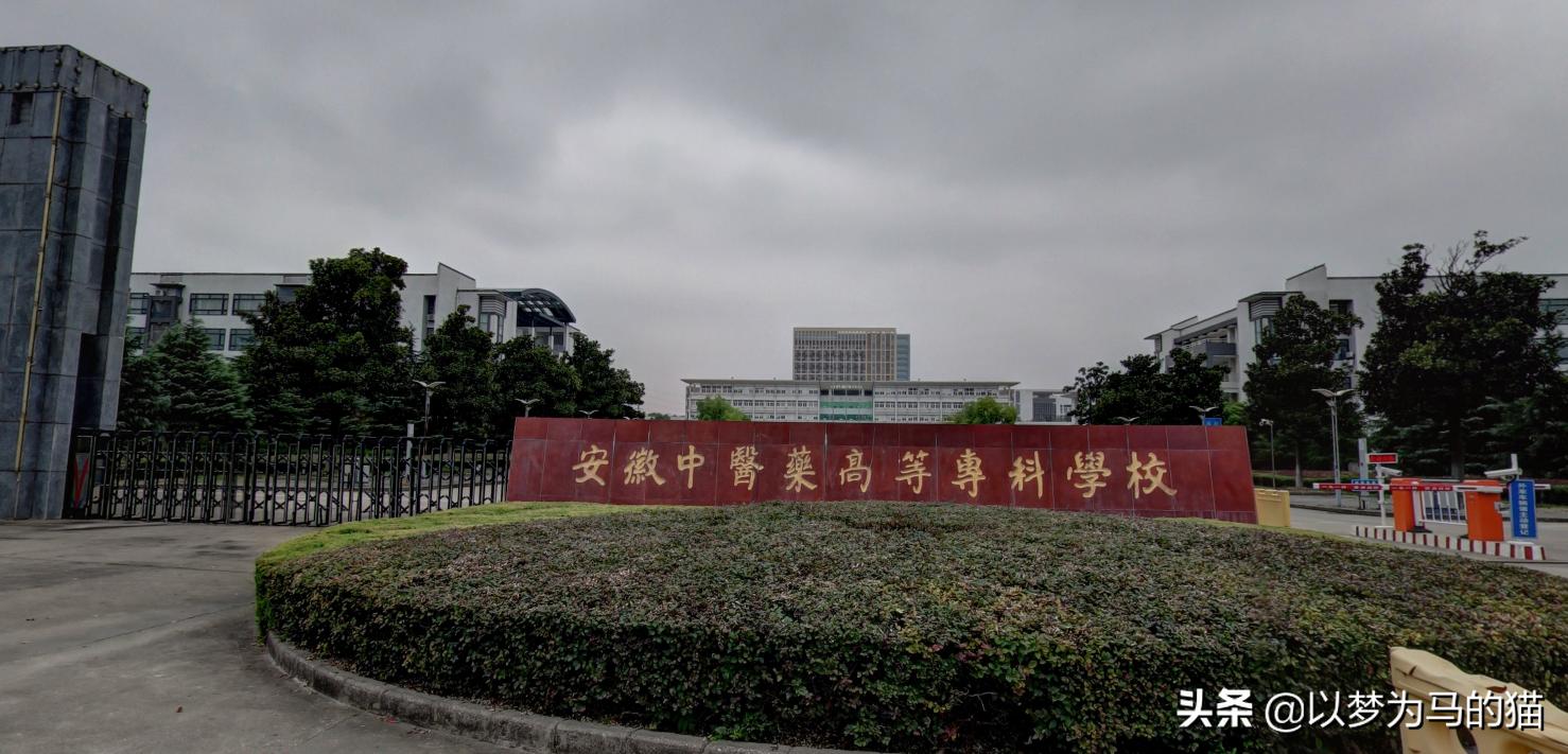 11所专科医学院校,全国最好的医学专业学校排行榜