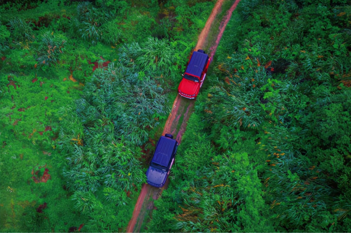 百家发布追寻奋斗百年路｜不能忘却的纪念　不断前进的柯城