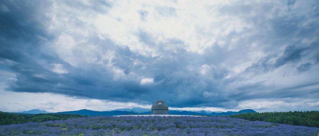佛学人生智慧原文及注解,佛法感悟人生的四字禅语