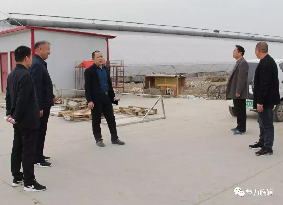 临颍：尚纪安计划5年把刘庄打造成河南最大的花卉种植交易基地