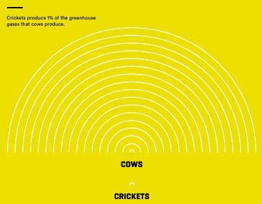 蟋蟀粉做面包,面包是不是用蟋蟀做的