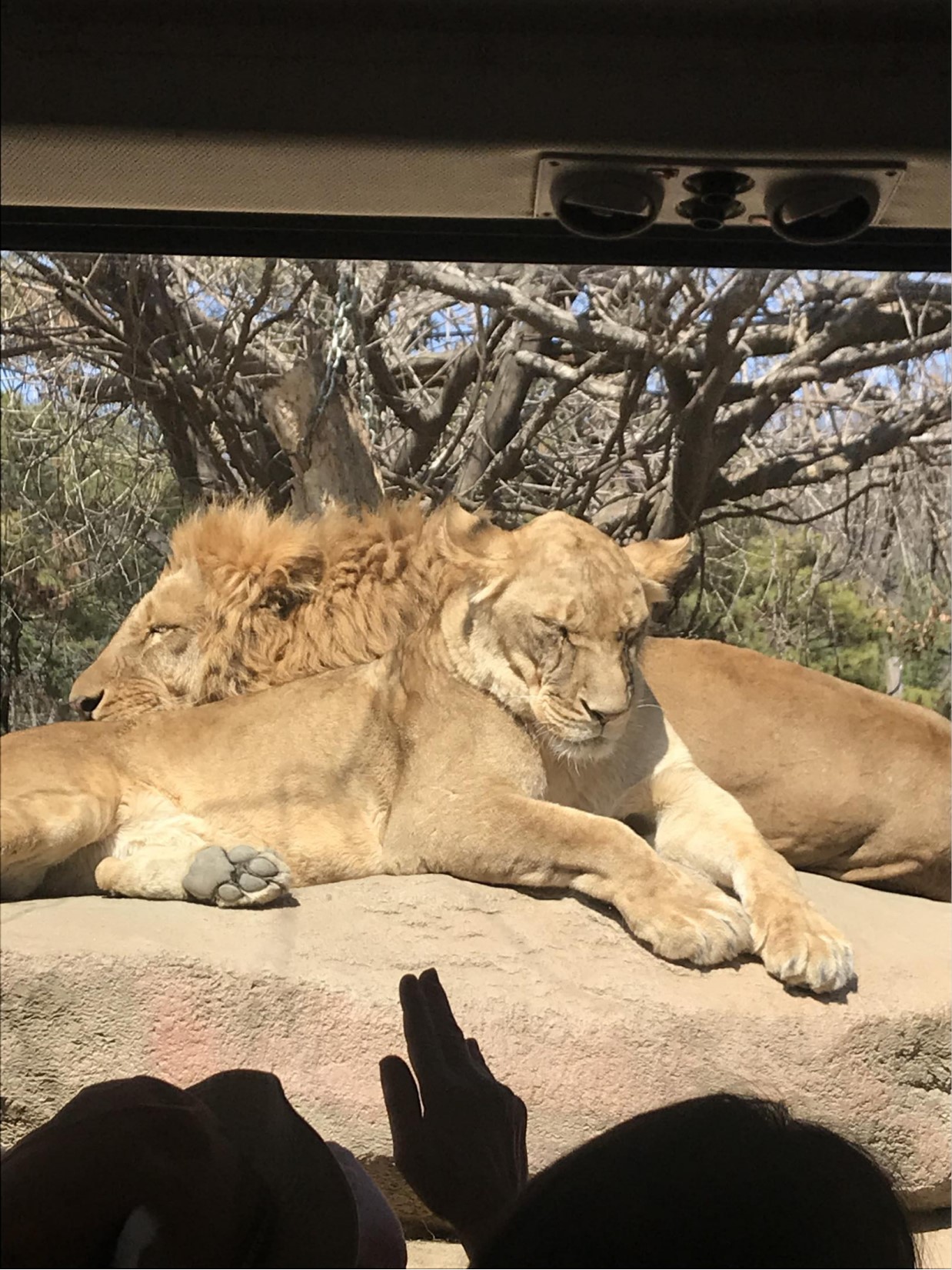 三星爱宝乐园面积,韩国爱宝乐园游乐园