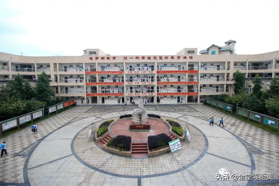 厉害了!金堂这所学校的学子夺得四川省冠军