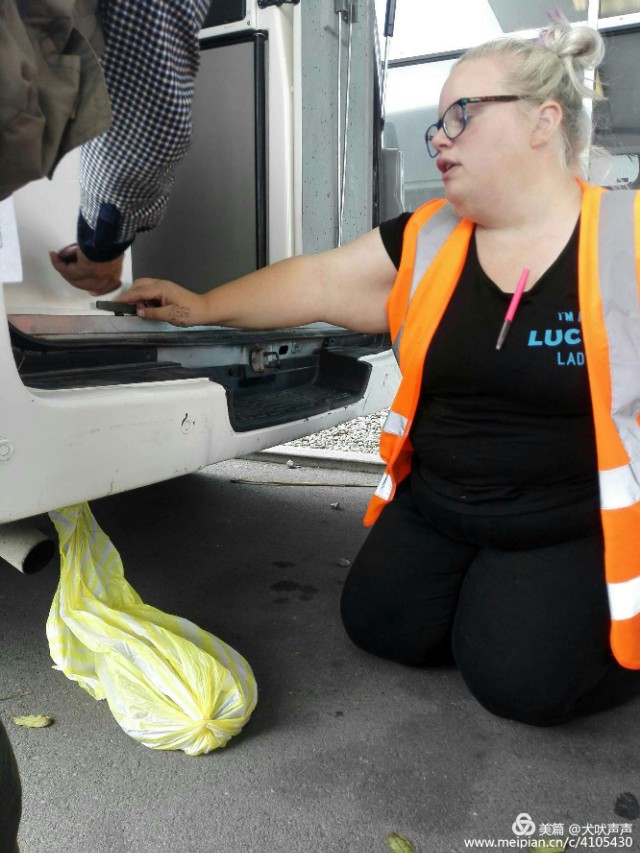 花甲后的新西兰自驾之旅（一）