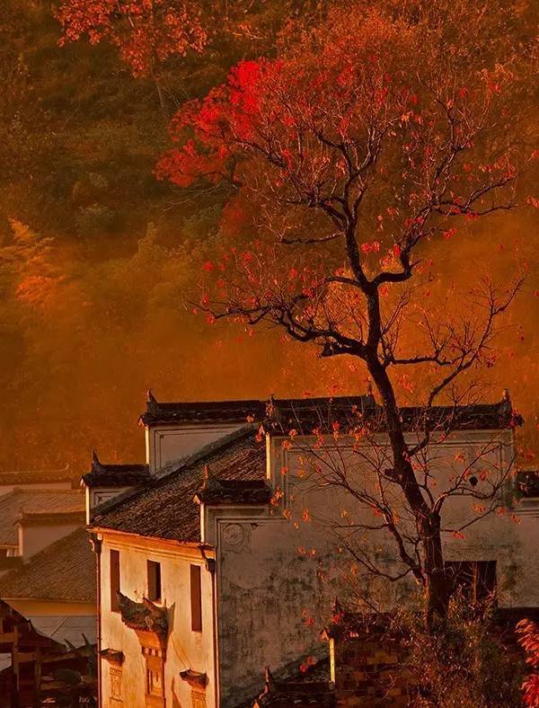 中国最美乡村Top10，有你家乡吗？