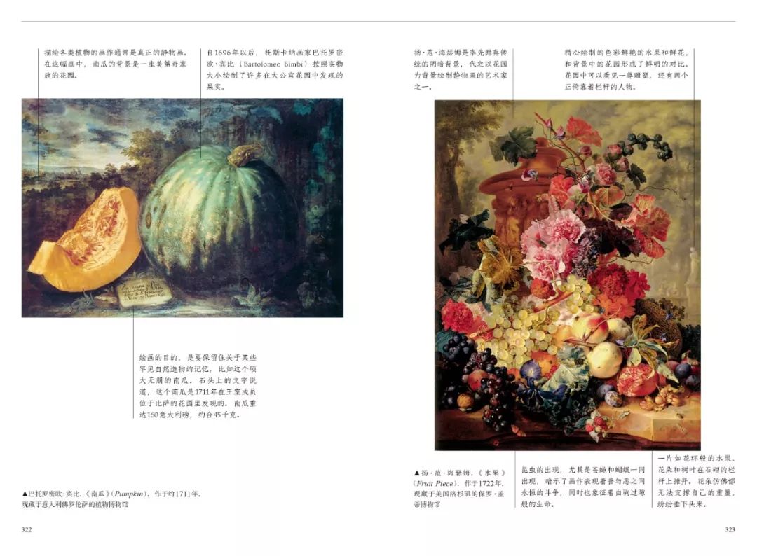 红衣主教来历,红衣主教月季分布区域