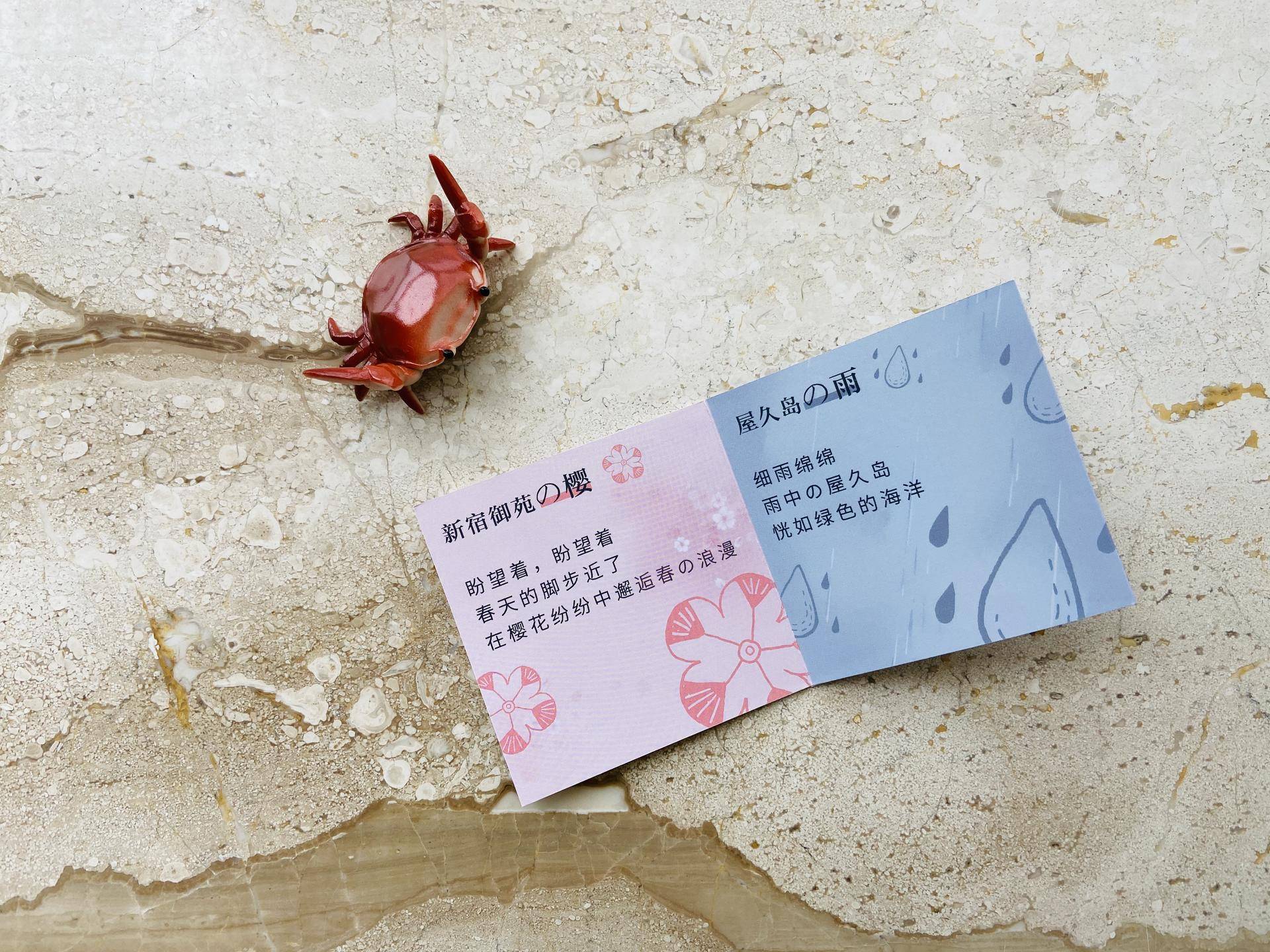 卡西欧计算器哪款比较好,卡西欧计算器开箱