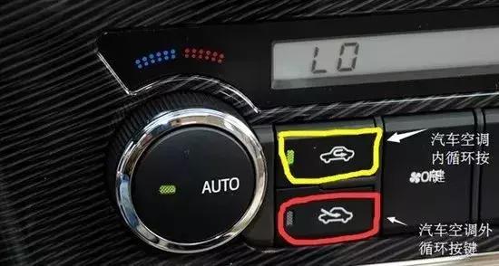 老鼠从哪里钻进车内,老鼠是怎么钻进车里的