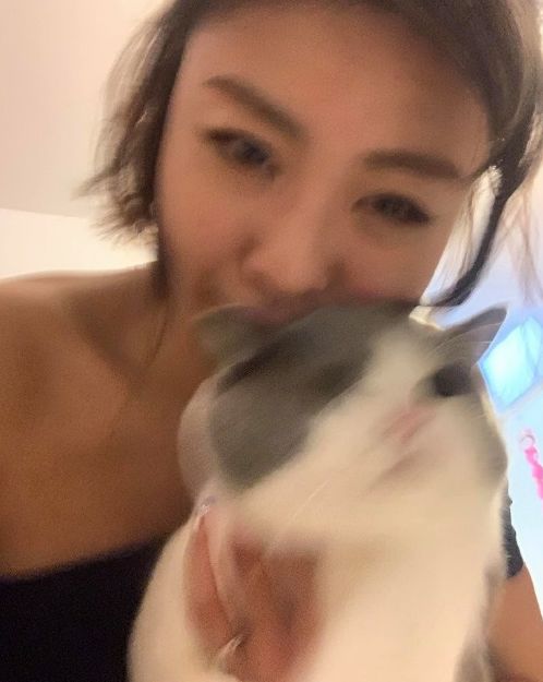 猫咪和主人的温馨时刻,和猫咪快乐的瞬间