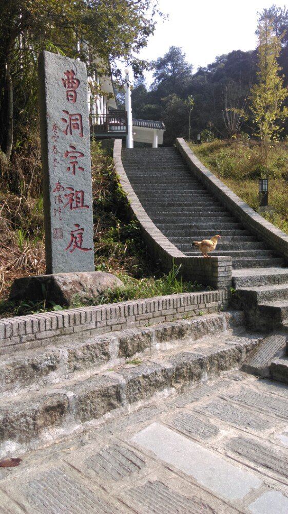 宜春4a景点,宜春免费旅游景区排名前十