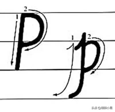 26英文字母书写教学视频,26个英文字母正确书写动画